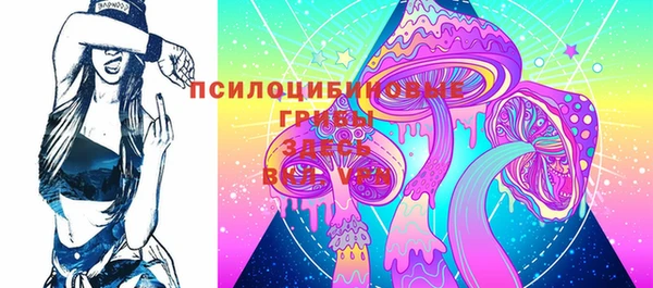 герыч Арсеньев