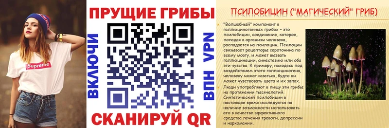 Псилоцибиновые грибы прущие грибы  Чудово 